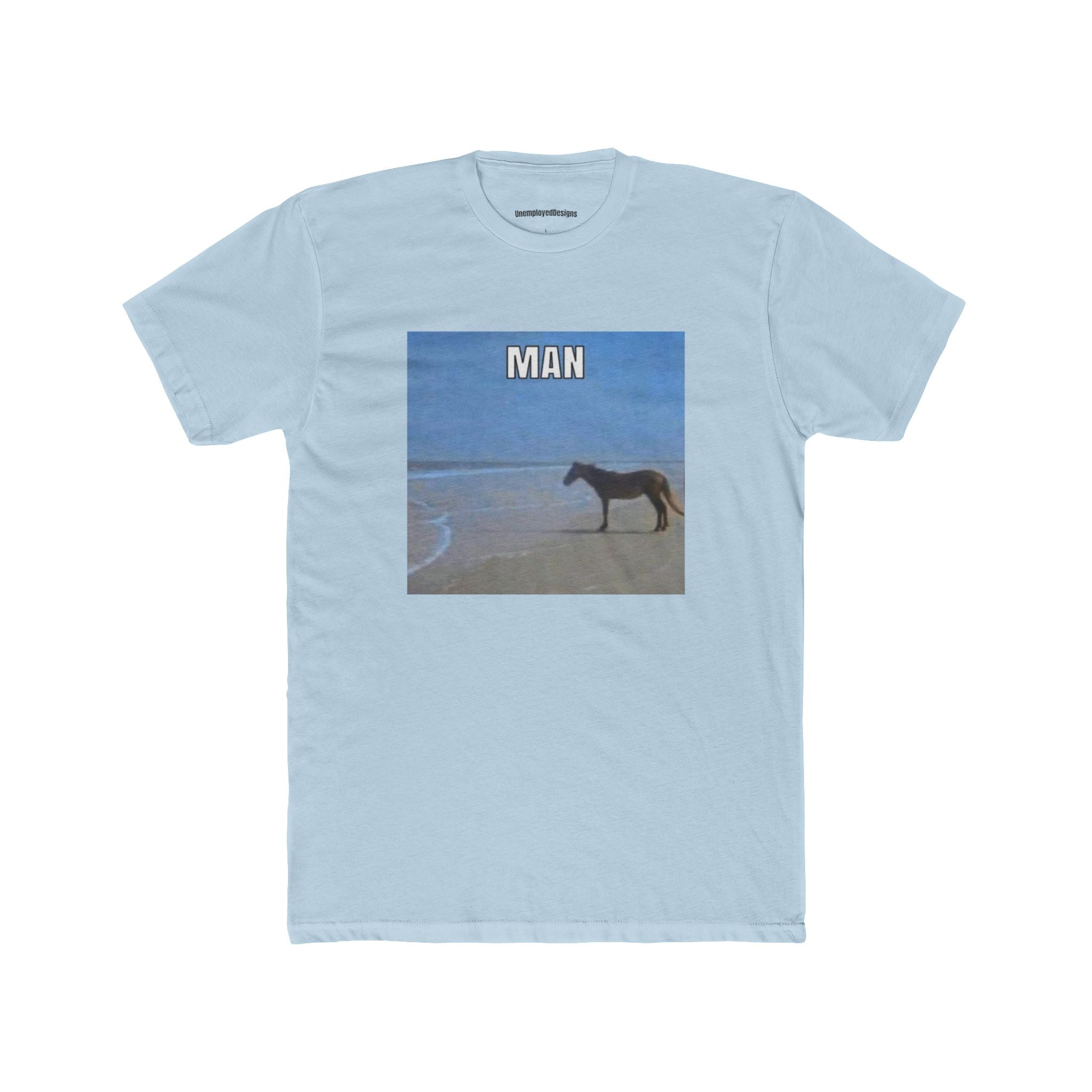 Beach Horse