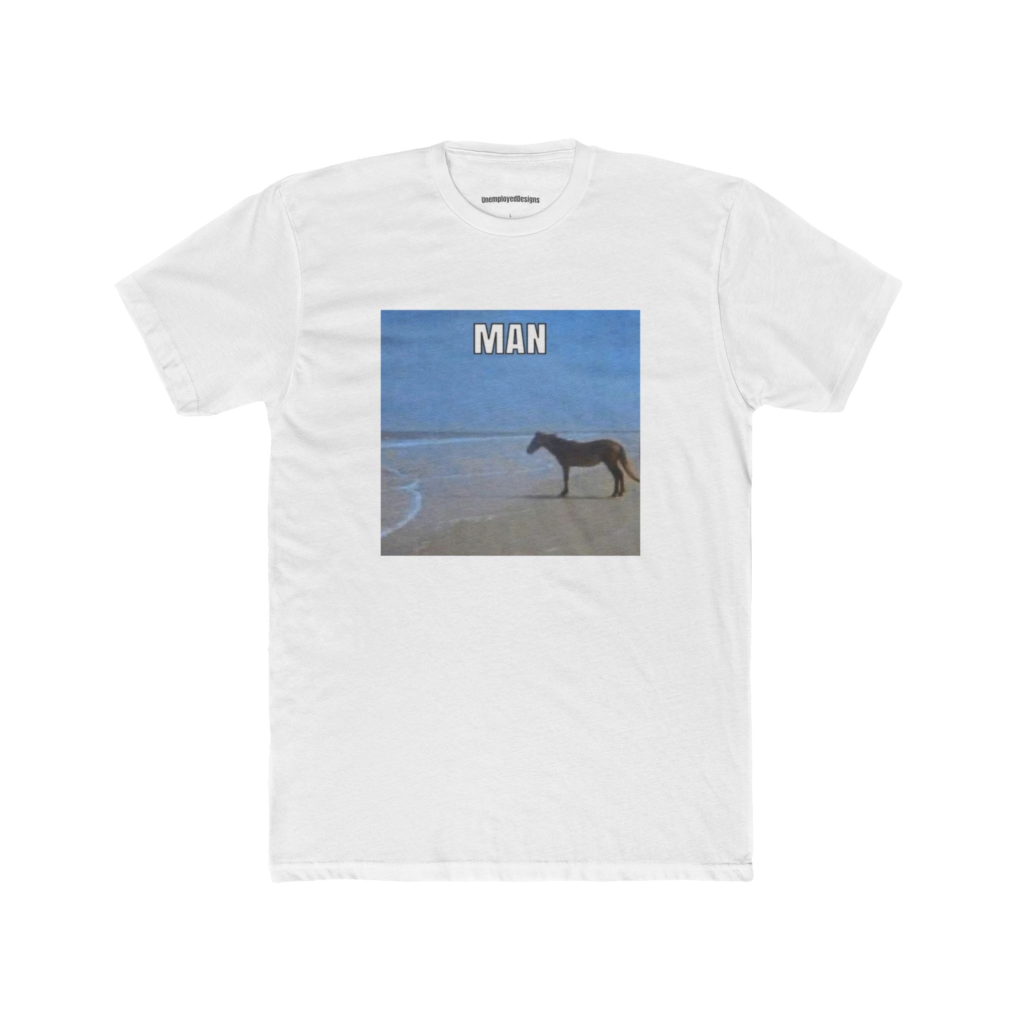Beach Horse